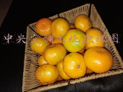 中央空调系统原理图包含哪些设备(中央空调系统分类、组成、识图、管理与维护)
