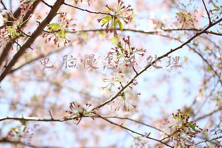 电脑慢怎么办电脑慢怎么处理(电脑用久了卡顿反应慢？试试以下5种方法，让你的电脑恢复流畅)