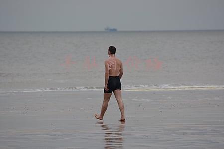 羊肚菌价格