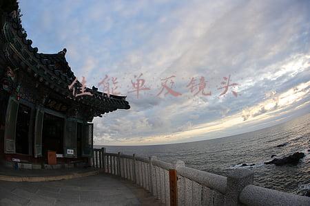 佳能单反镜头