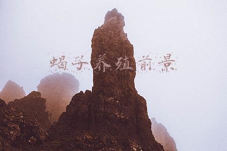 蝎子养殖前景怎么样,养蝎前景分析(谈谈目前我国蝎子养殖现状和未来前景)