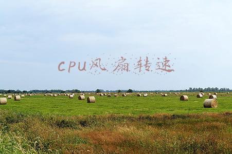 cpu风扇转速