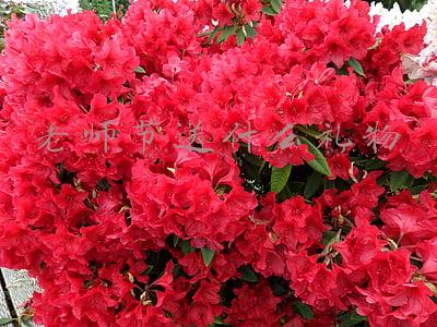 老师节送什么礼物好呢(教师节礼物送什么？今年孩子们送的礼物，让我不再纠结了)