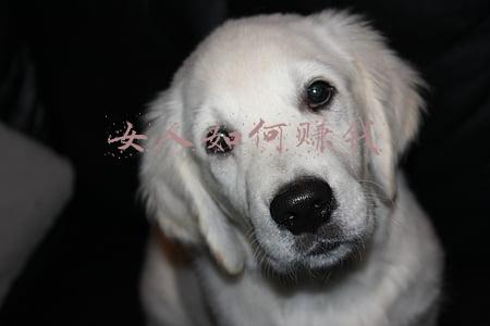 女人如何赚钱