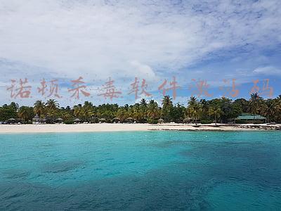 诺顿杀毒软件激活码2021(Windows Defender被评为2021年度最佳杀毒软件之一)