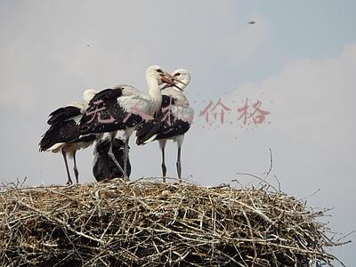 无人机价格