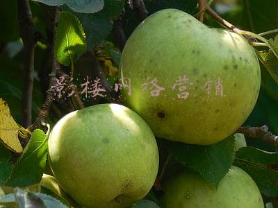 影楼网络营销