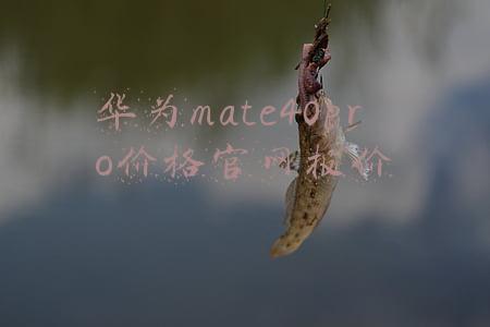 华为mate40pro+价格官网报价(华为Mate40 Pro+官网放货 每周一三五限量发售)