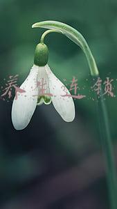 中医养生连锁加盟