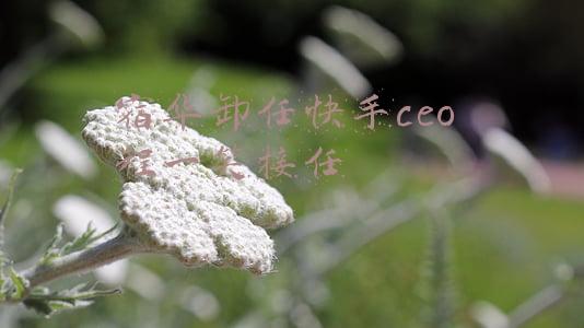 快手的老板是谁CEO宿华与合伙人一笑\(36氪独家 | 宿华卸任快手CEO，程一笑接任)