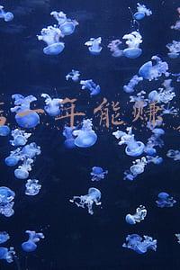 开个渔具店大概需要多少钱(开渔具店需要多少钱)