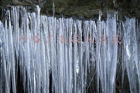 网络广告投放方式