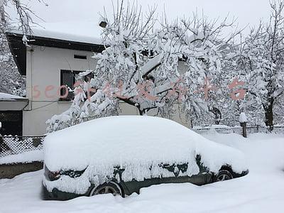 seo外链发布平台