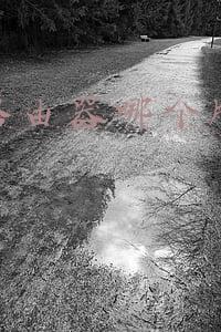 无线路由器哪个牌子信号好