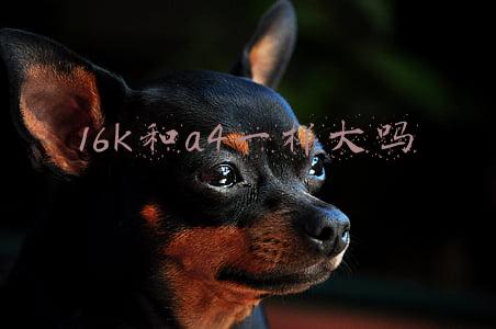32k和a4一样大吗(90%的升本人在备考中忽略了这致命一点！！需重点关注)