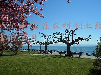 八个适宜在农村创业致富的项目