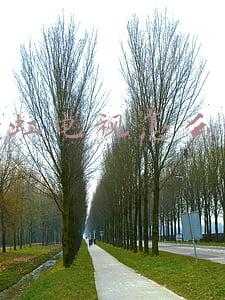 长虹电视怎么样