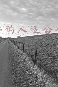 头发少的人适合什么发型