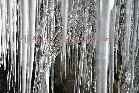 网站建设基础知识
