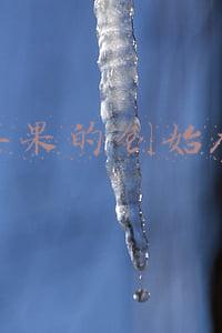苹果的创始人