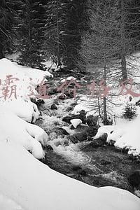 丰田霸道价格及图片