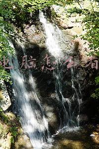 惠普电脑怎么看型号