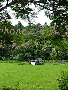 iphonex屏幕多少英寸