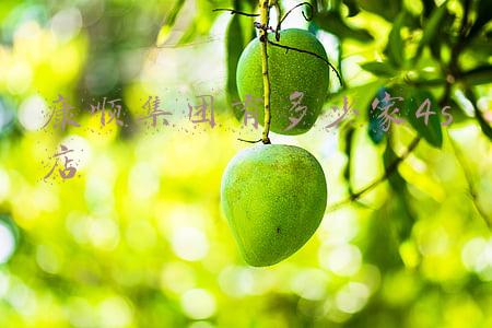 康顺集团董事长_康顺集团