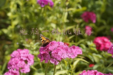 电脑一体机推荐