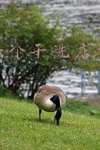 干洗店一般投资多少钱-干洗店大概要投资多少钱