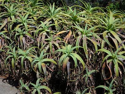 电暖器哪种好(冬季电暖器买哪种？五类电暖器多维度大对比)