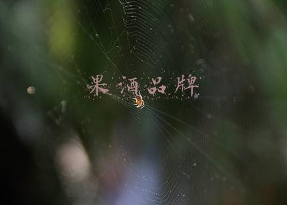 果酒品牌