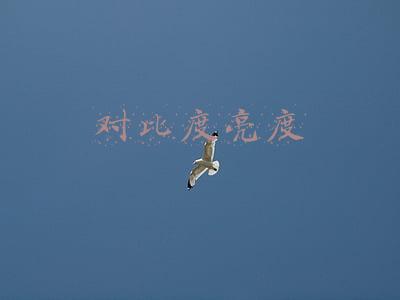对比度亮度怎么调最好(Win10系统怎么调电脑屏幕对比度？)