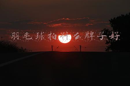 羽毛球拍什么牌子好
