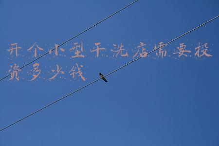 开个小型干洗店需要投资多少钱