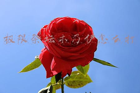 极限祭坛木乃伊怎么打不死(游戏兼职最安逸！收益是低了点，但零花钱肯定是够的)