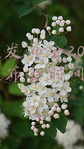苹果发布会2021秋季发布会时间