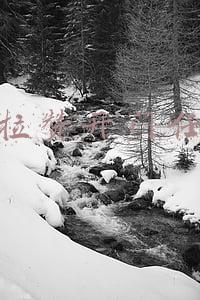 卡拉赞开门任务有必要做吗(魔兽世界怀旧服：反向攻略 如果TBC一个声望都不想刷)