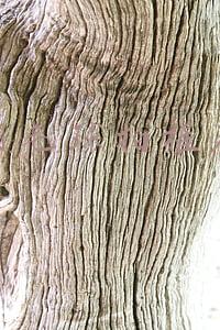羽毛球拍推荐 知乎(口碑好又便宜！这10款备用羽毛球拍最值得入手)