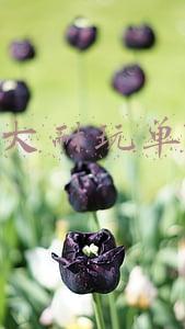 电脑十大耐玩单机游戏