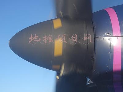 地摊项目网