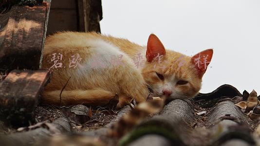 碧欧泉面霜怎么样(今年圣诞季最心水的面霜——碧欧泉粉活泉)