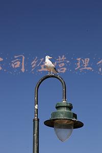 公司经营理念