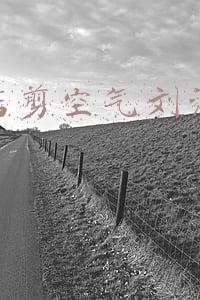 理发店刘海定型(理发店刘海定型可以保持多久)