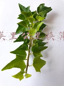 英里公里换算