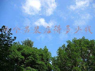 开个男装店大概多少钱《开个男装店大概多少钱乡镇》