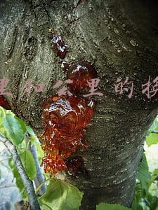 英里和公里的换算