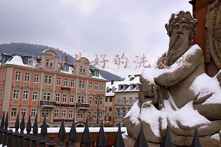控油最好的洗发水