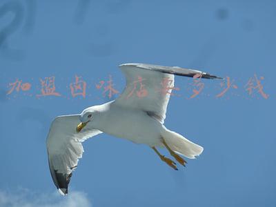 卤味店加盟费用多少_卤咖卤味加盟费多少