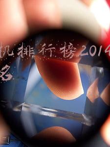 手机排行榜2014前十名